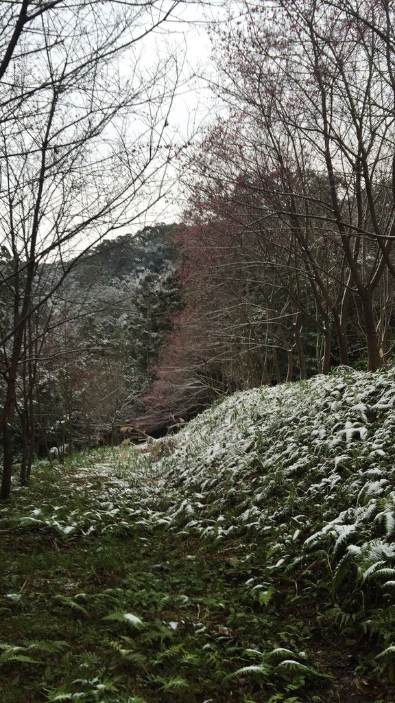 IMG_8137.JPG IMG_8137.JPG