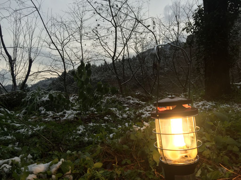 IMG_8132.JPG IMG_8132.JPG