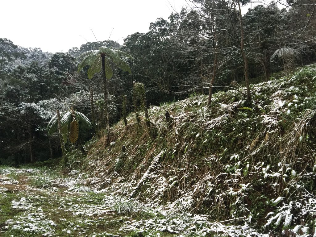 IMG_8130.JPG IMG_8130.JPG