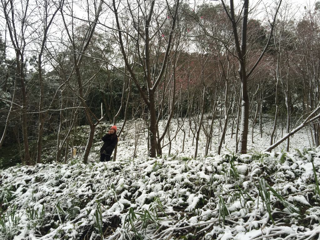 IMG_8138.JPG IMG_8138.JPG