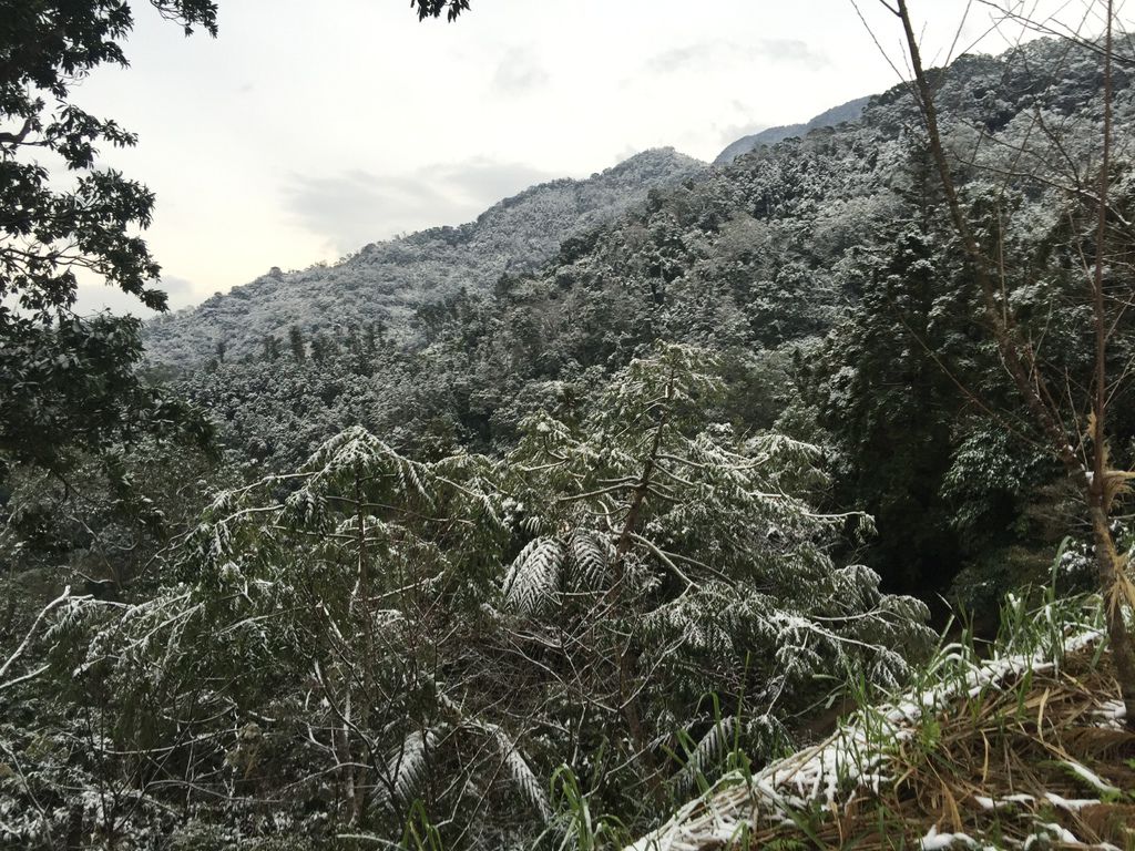 IMG_8139.JPG IMG_8139.JPG