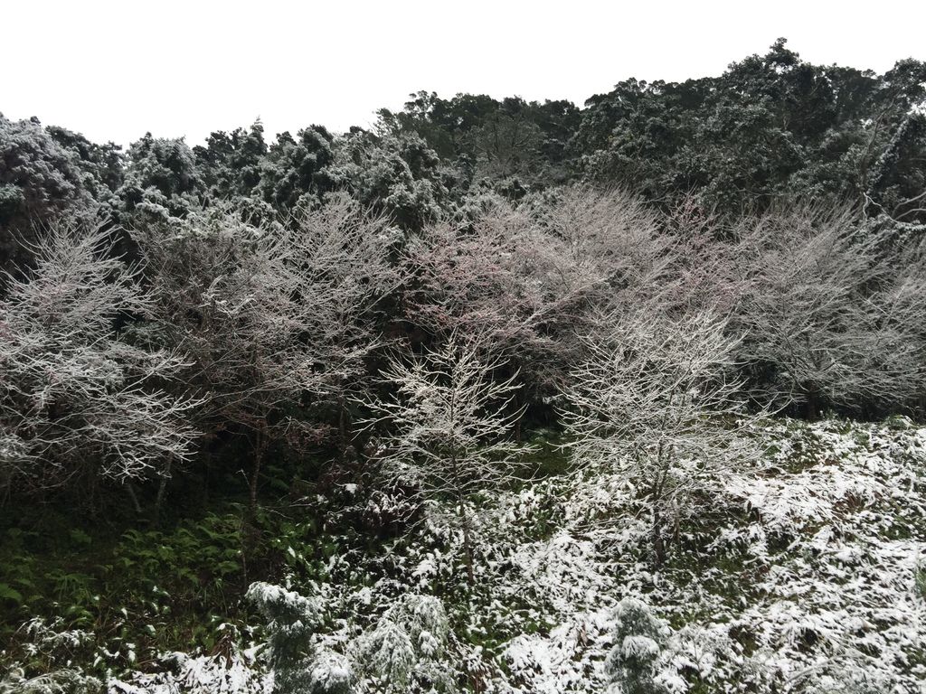 IMG_8148.JPG IMG_8148.JPG