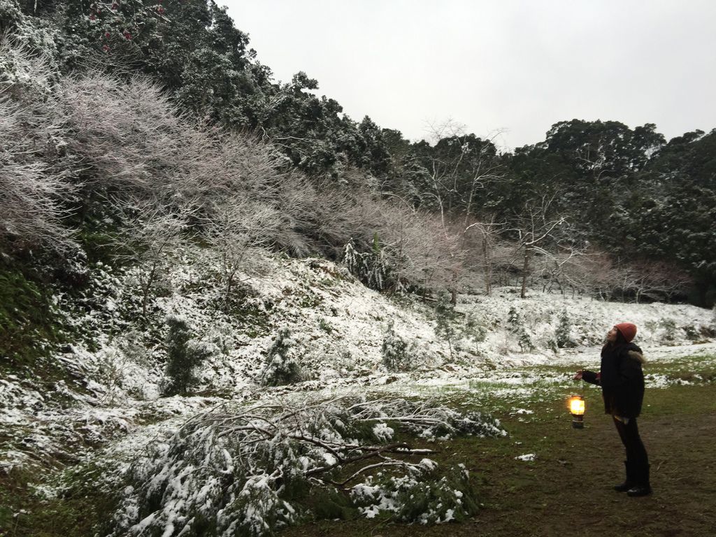 IMG_8144.JPG IMG_8144.JPG