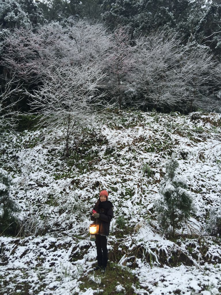 IMG_8157.JPG IMG_8157.JPG