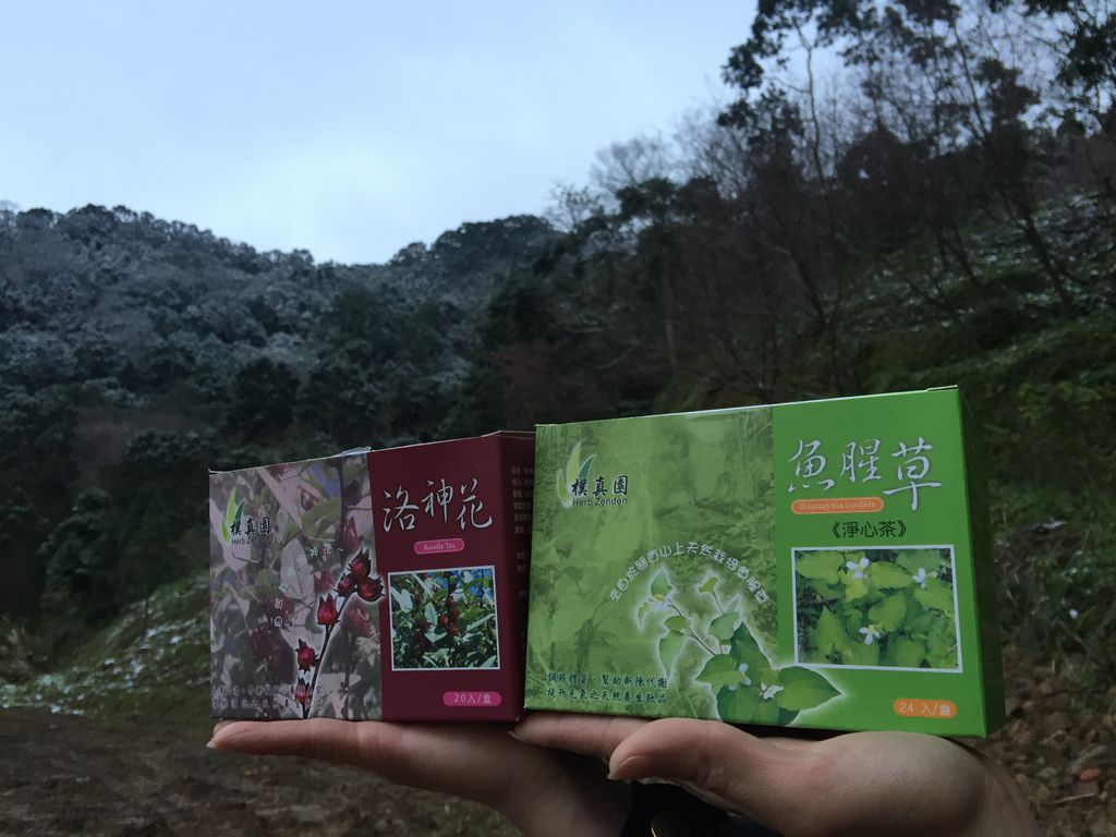 IMG_8169.JPG IMG_8169.JPG