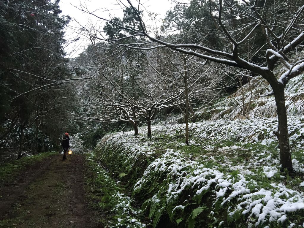 IMG_8160.JPG IMG_8160.JPG