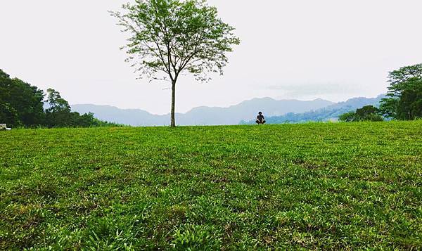 13254622_1093242980732749_5230384059992460986_n.jpg 13254622_1093242980732749_5230384059992460986_n.jpg