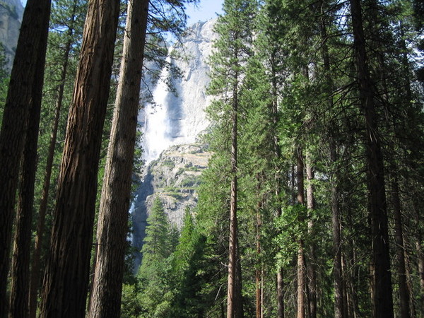 優勝美地國家公園4-優勝美地瀑布(Yosemite Fall