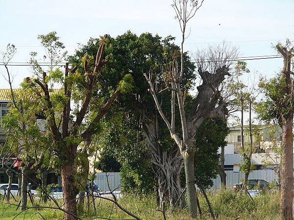 P1670961.JPG P1670961.JPG