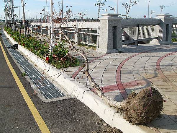 P1670944.JPG P1670944.JPG