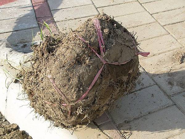 P1670945.JPG P1670945.JPG