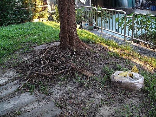 P1690910.JPG P1690910.JPG