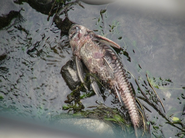 P1870638.JPG P1870638.JPG