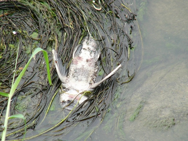 P1870596.JPG P1870596.JPG