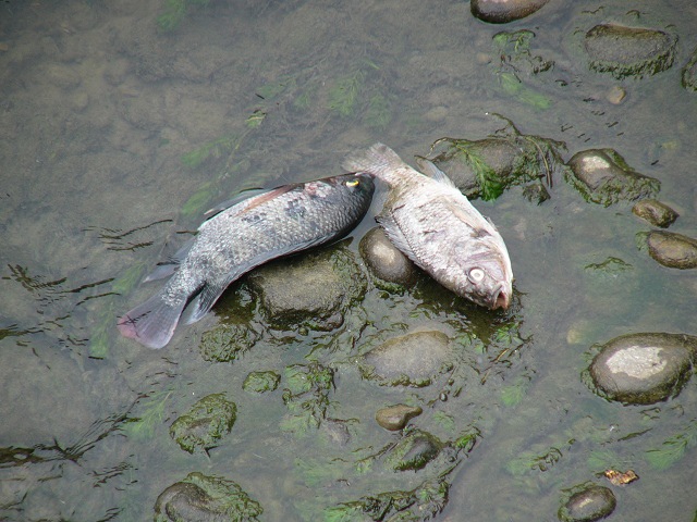 P1870636.JPG P1870636.JPG