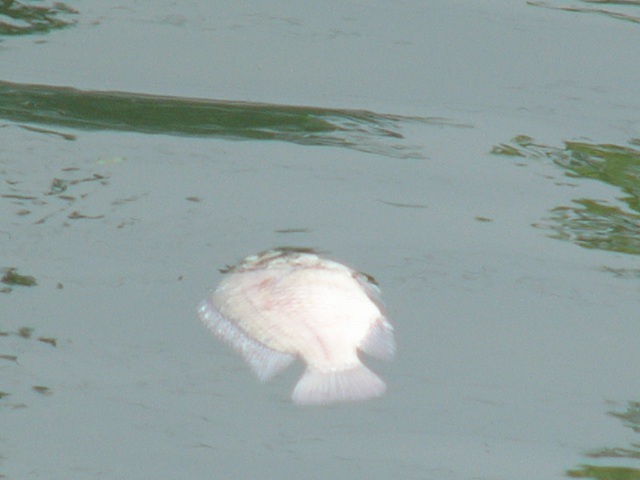 P1870507.JPG P1870507.JPG