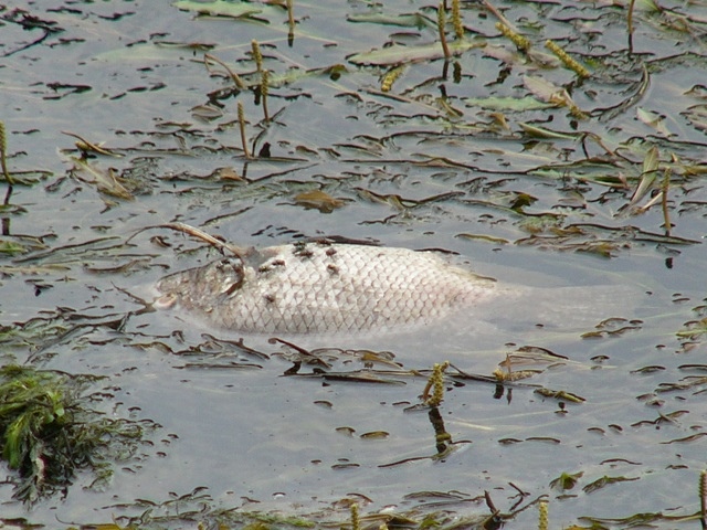 P1870520.JPG P1870520.JPG