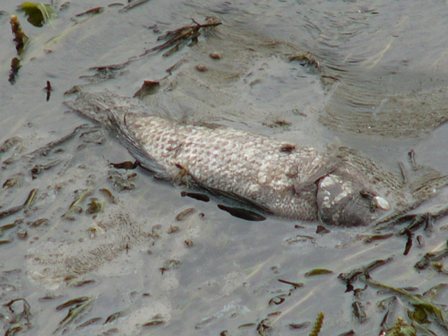 P1870519.JPG P1870519.JPG