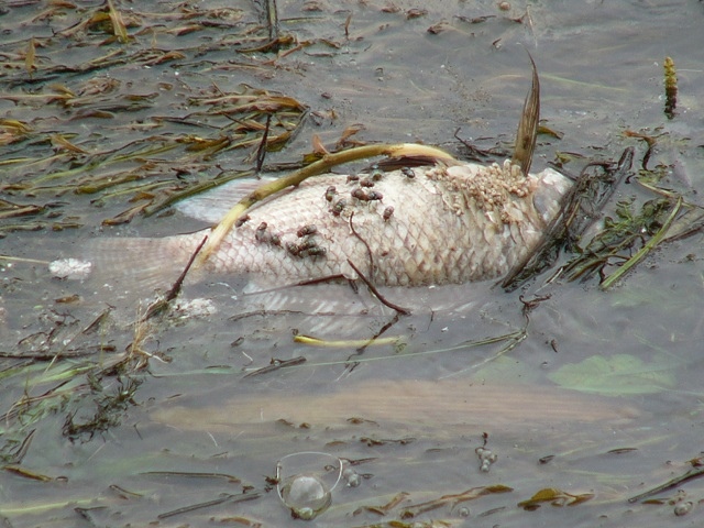 P1870522.JPG P1870522.JPG