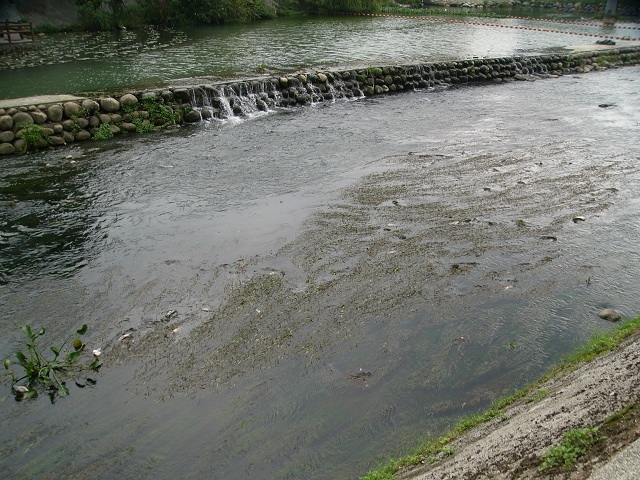 P1870515.JPG P1870515.JPG