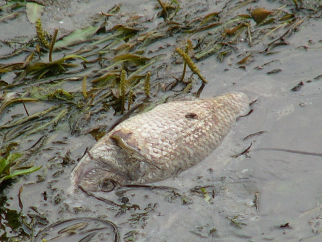 P1870518.JPG P1870518.JPG