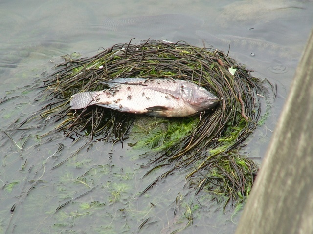 P1870591.JPG P1870591.JPG