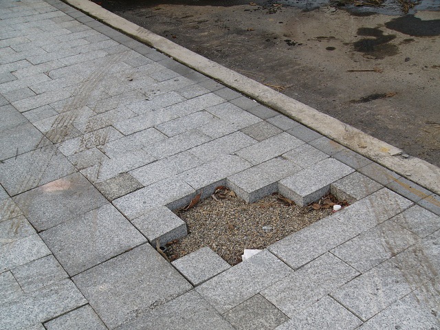 P1880981.JPG P1880981.JPG