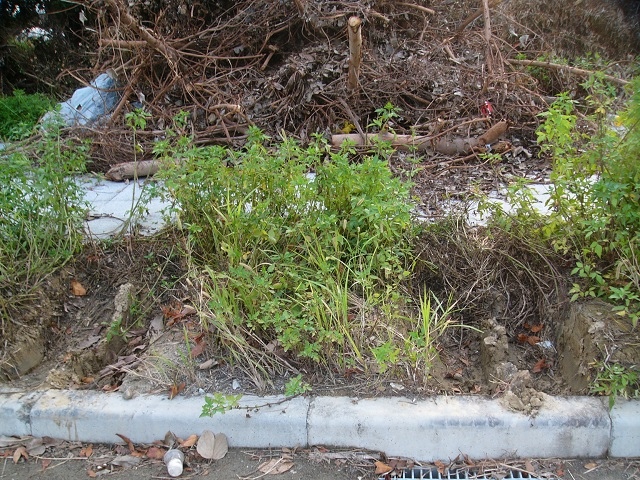 P1890003.JPG P1890003.JPG