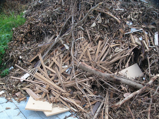 P1880993.JPG P1880993.JPG