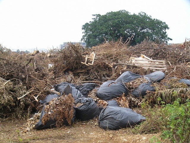 P1880966.JPG P1880966.JPG