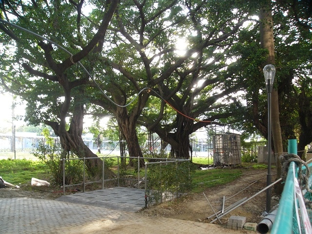 P1940258.JPG P1940258.JPG