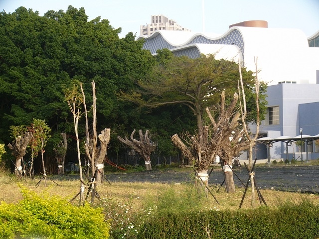 P1940264.JPG P1940264.JPG