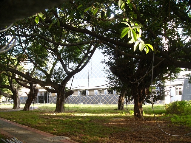 P1940256.JPG P1940256.JPG