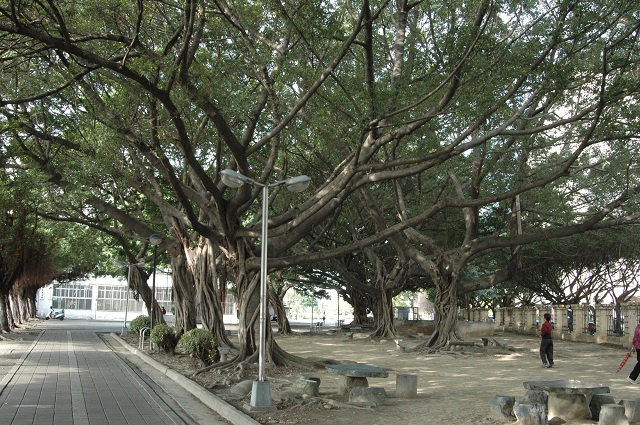 DSC_0267.JPG DSC_0267.JPG