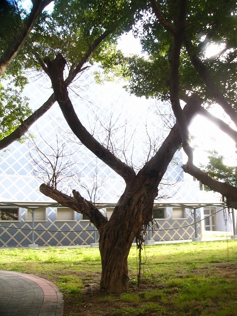 P1940240.JPG P1940240.JPG