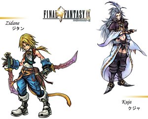 Final_Fantasy_IX_by_ShiroTagachi.jpg