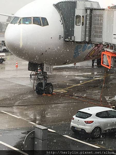 IMG_1036.JPG IMG_1036.JPG