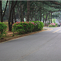 環校道路 02.png