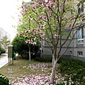 2011-04-15  江南明珠苑   014.JPG