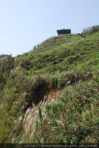 2015-10-29  宜蘭草嶺古道桃源谷石觀音寺037.jpg