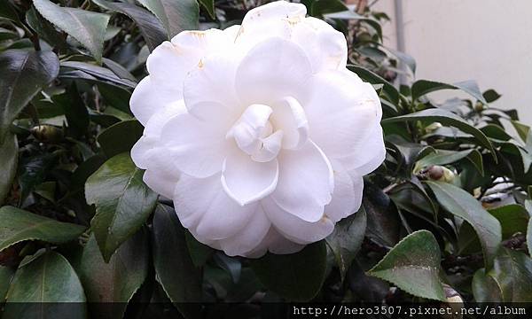 20160114_141059.jpg 20160114_141059.jpg