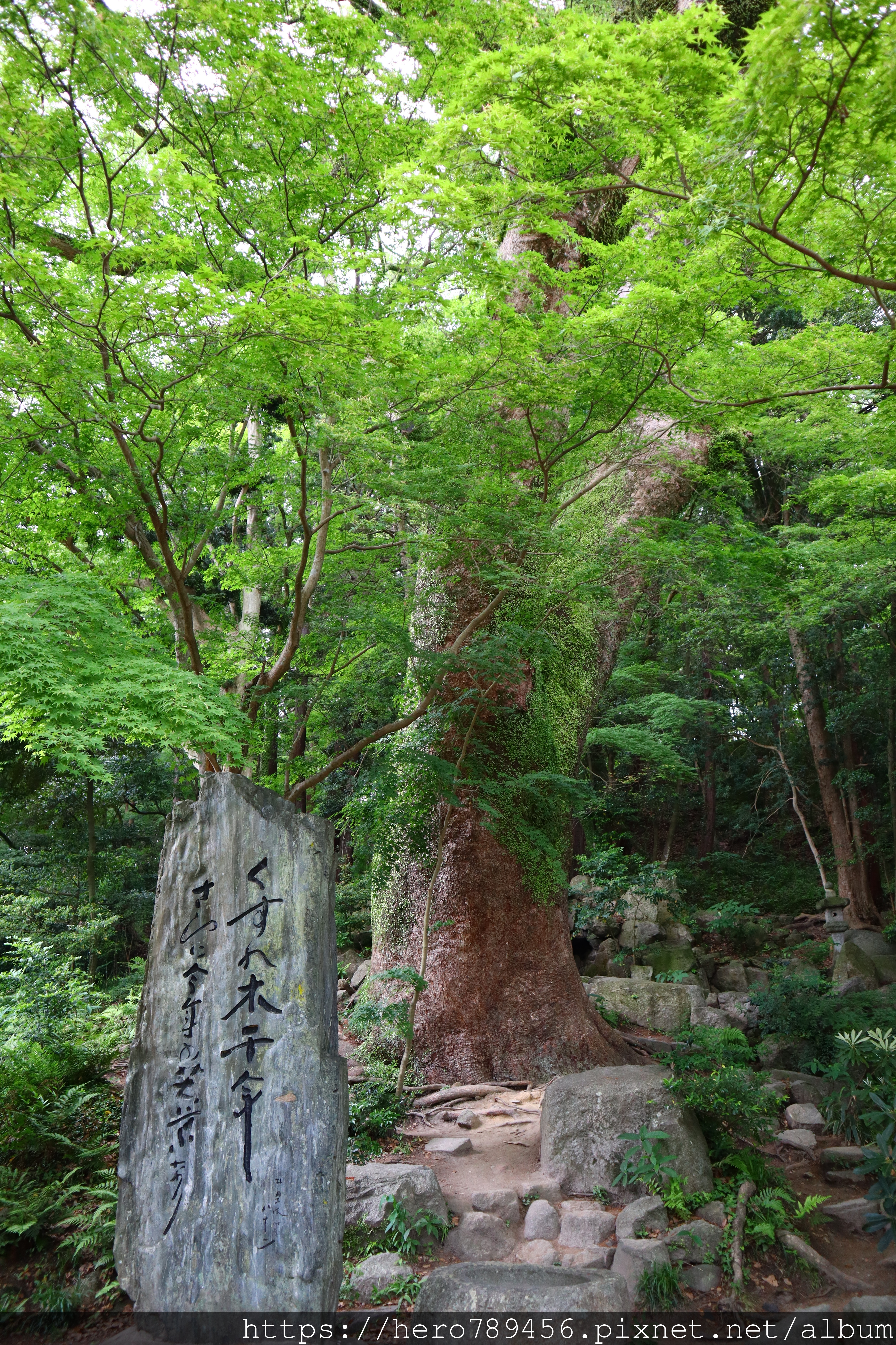 (日本太宰府旅遊)太宰府天滿宮，太宰府一日遊必訪景點，九州最