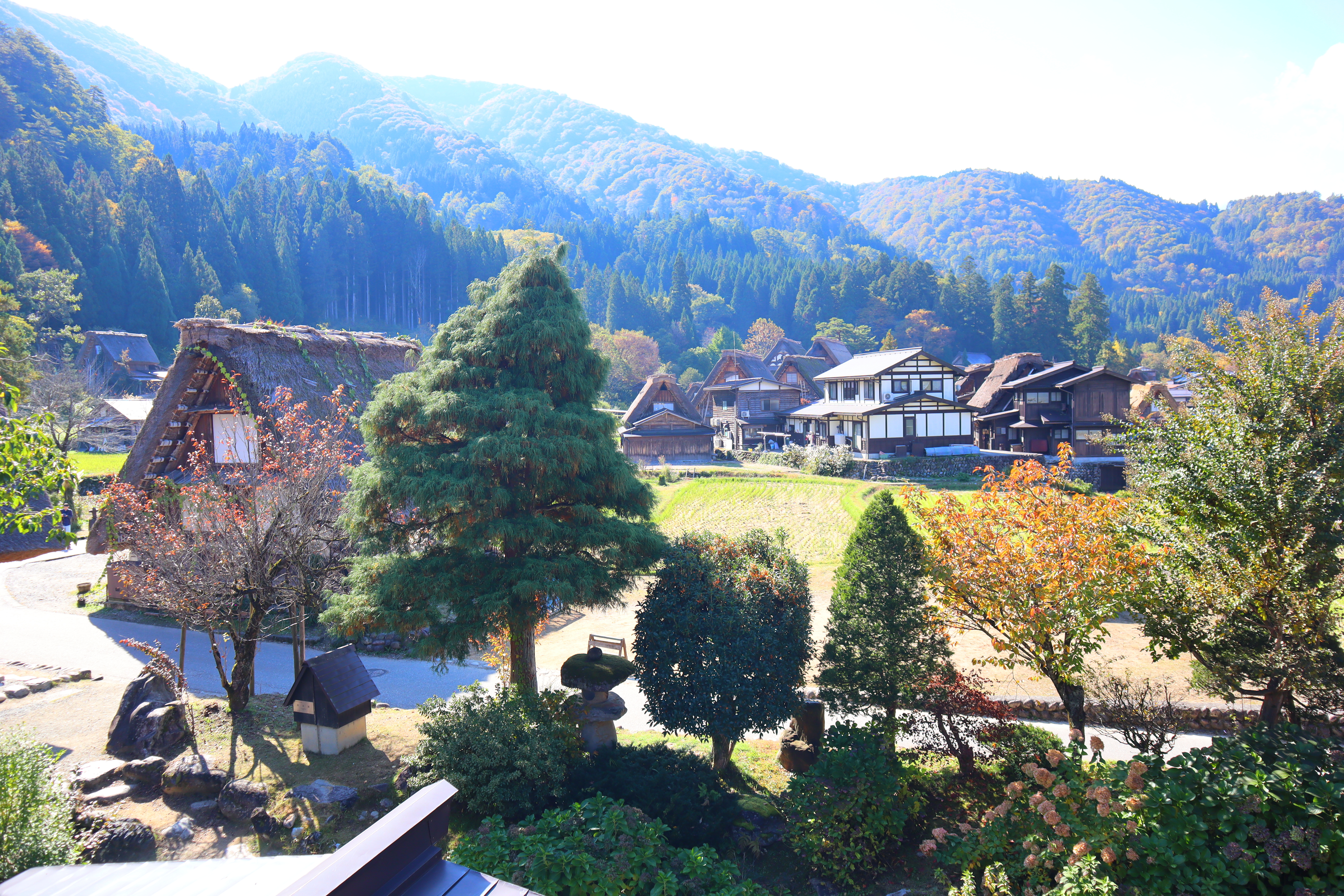 (日本岐阜白川鄉景點)神田家，白川鄉合掌村的超高人氣景點，一