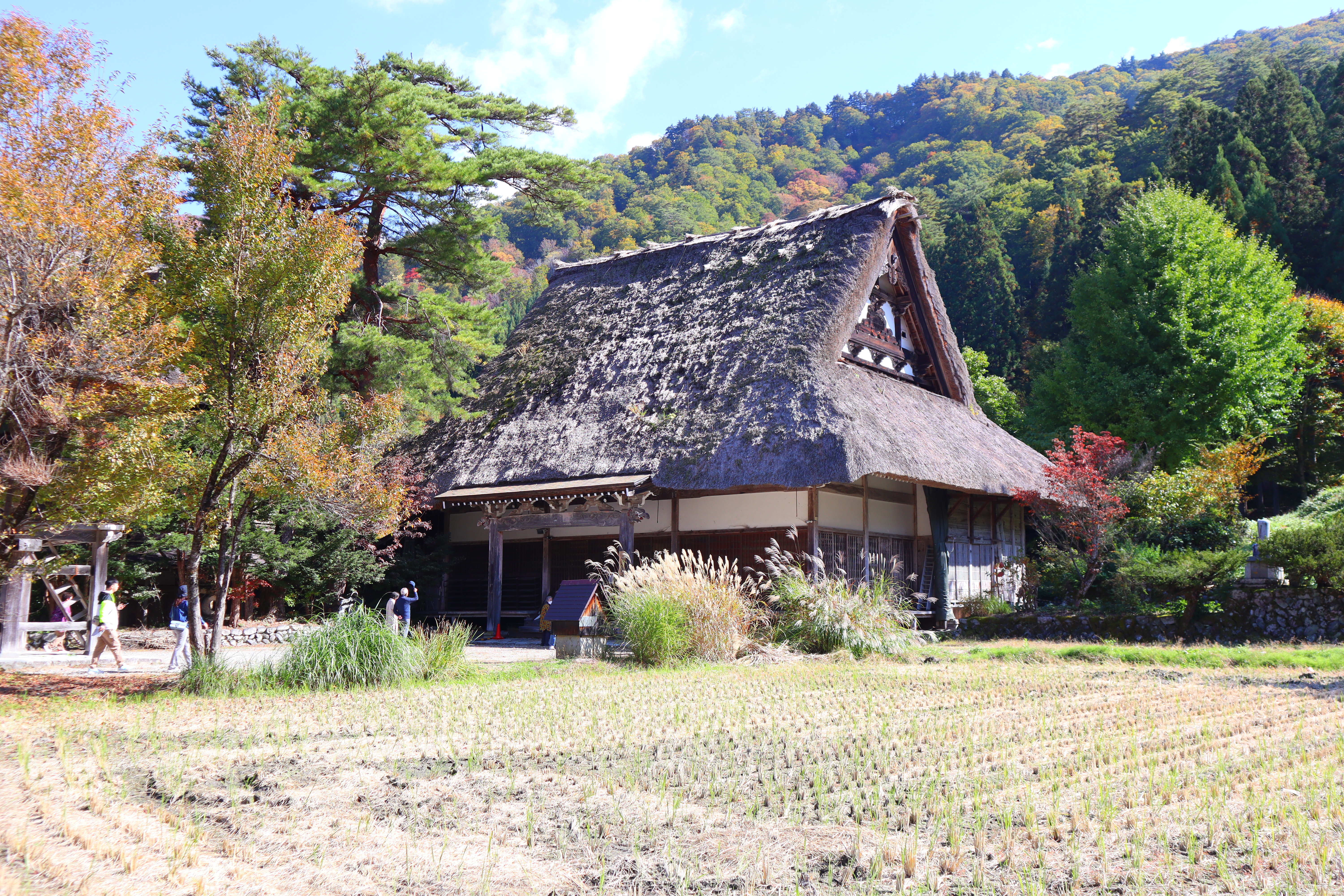 (日本岐阜白川鄉景點)白川鄉合掌村半日遊推薦，有著極佳視野的