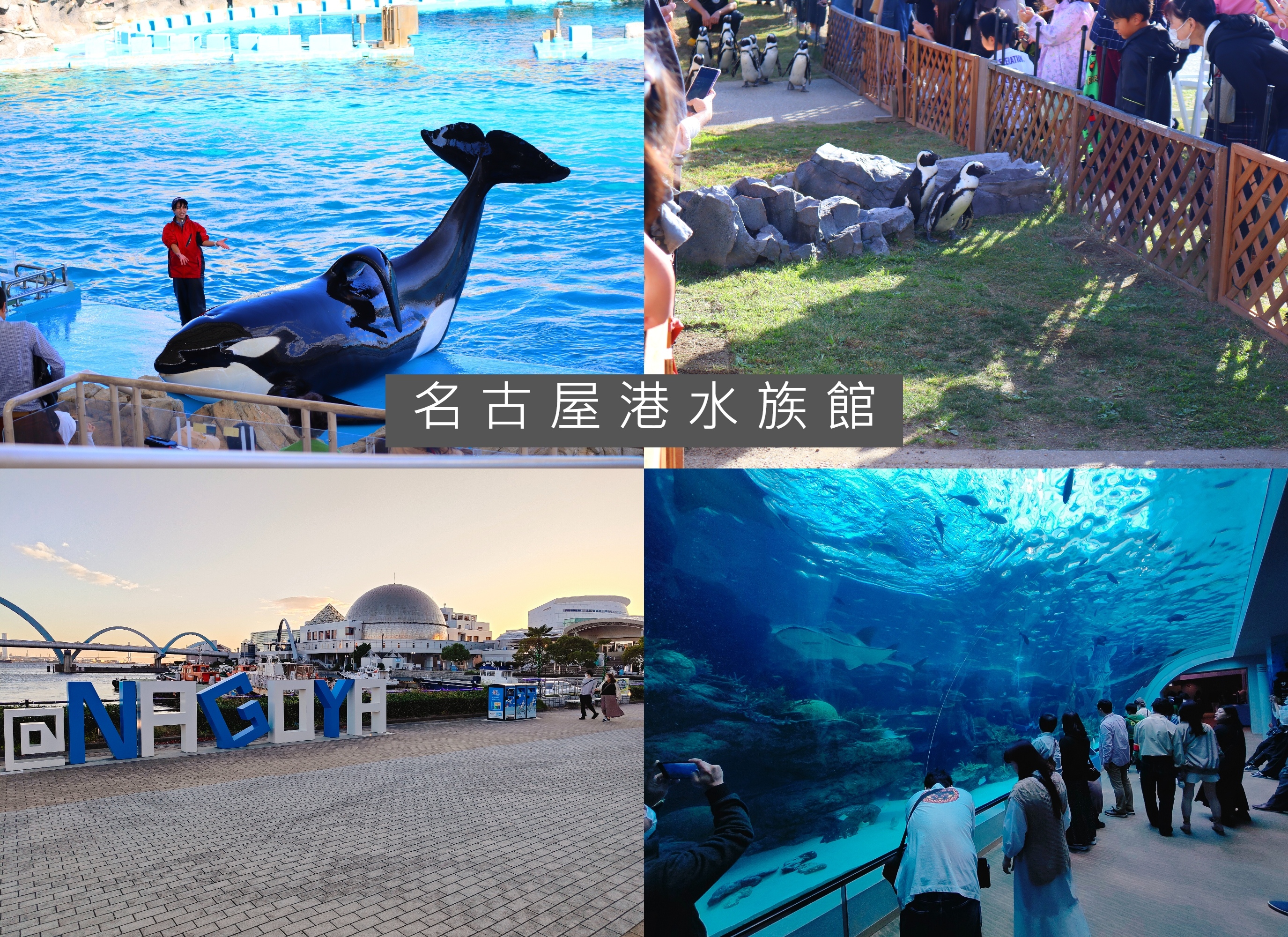 (日本愛知名古屋景點)名古屋港水族館，日本最大面積的水族館，