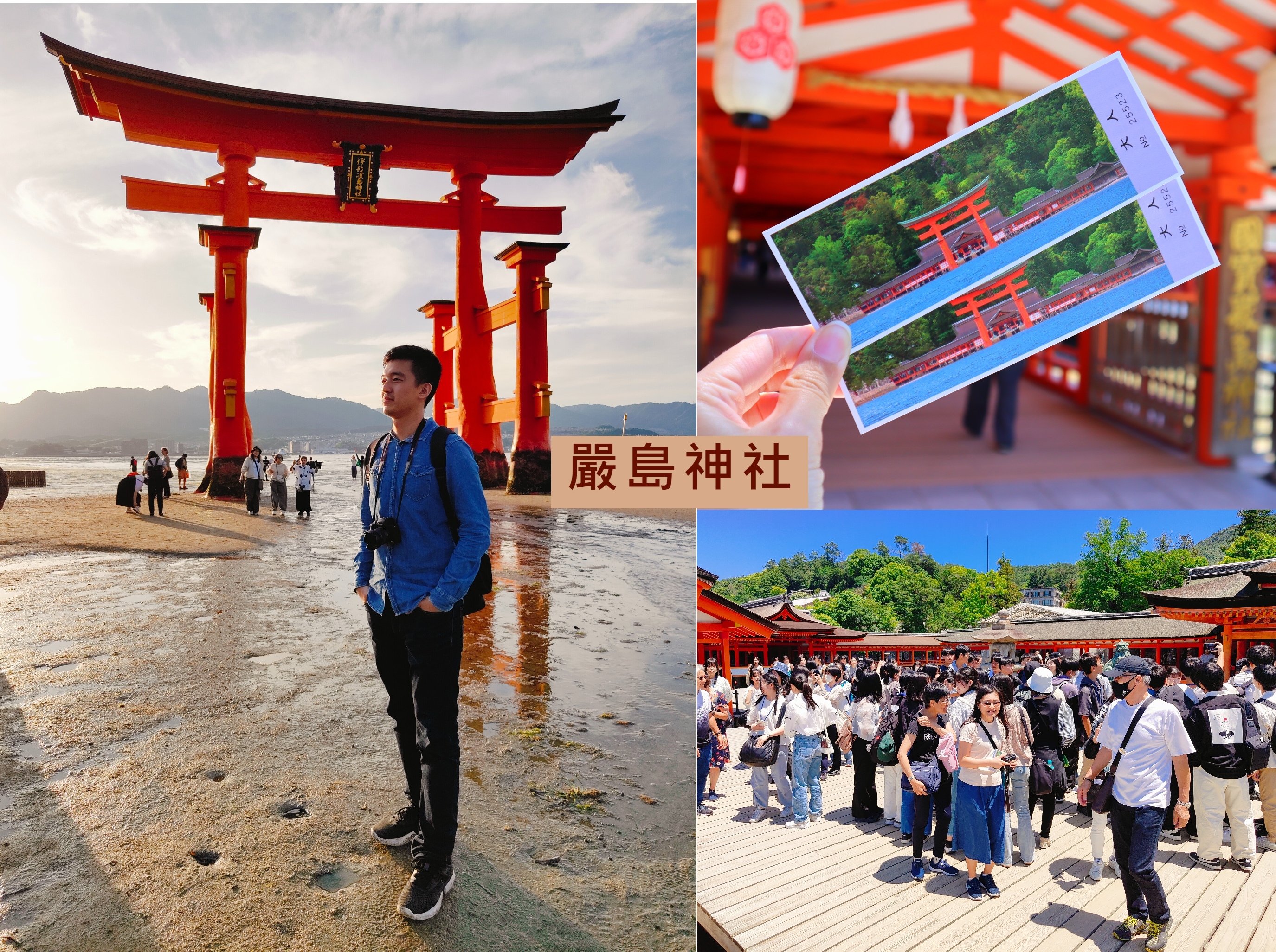 (日本廣島旅遊)嚴島神社，日本三大景之一，漂浮在海上的大鳥居