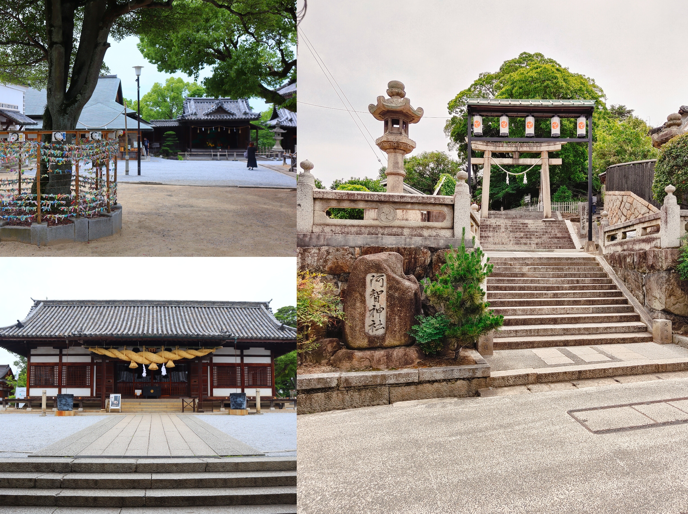 (日本倉敷旅遊)阿智神社，倉敷市區的山頂神社，擁有巨石和美麗