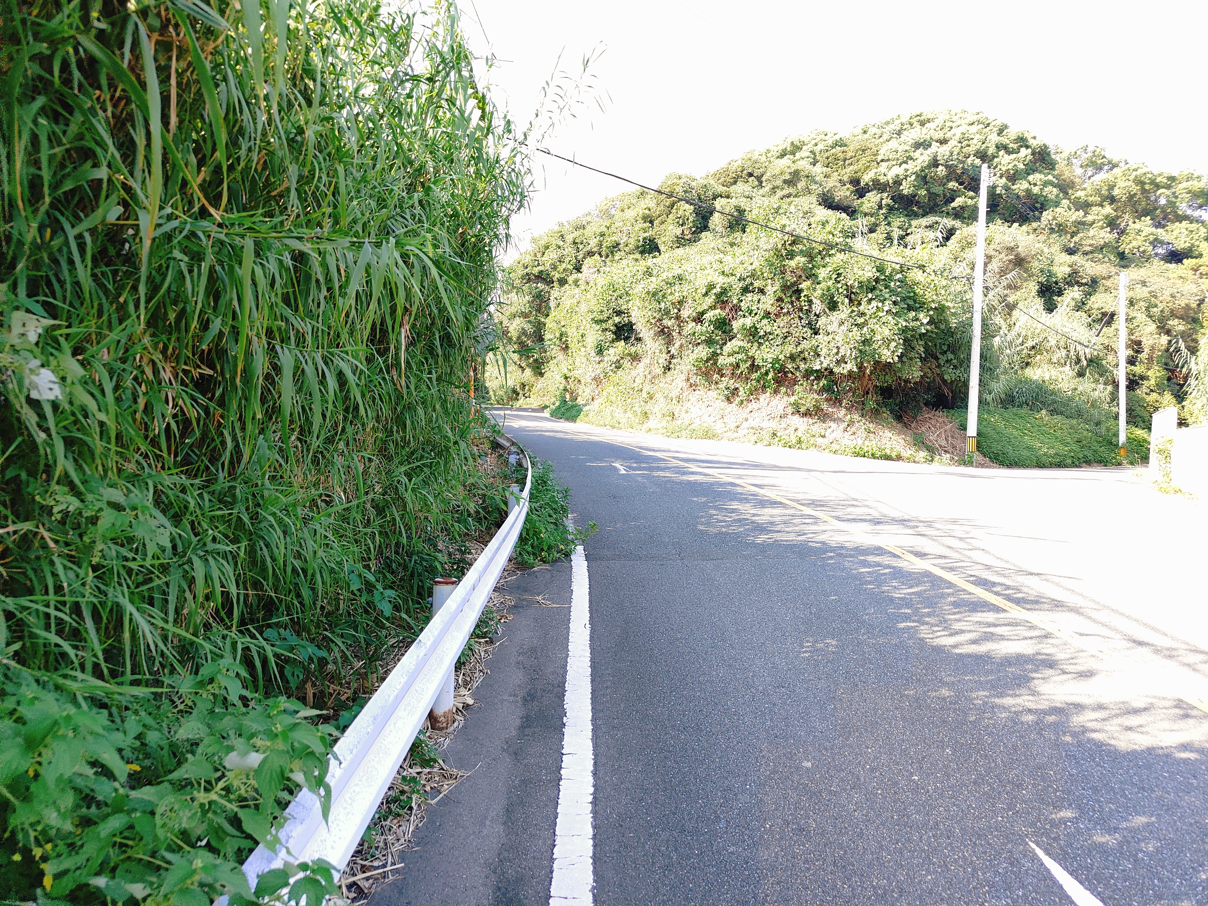 (未設定標題)