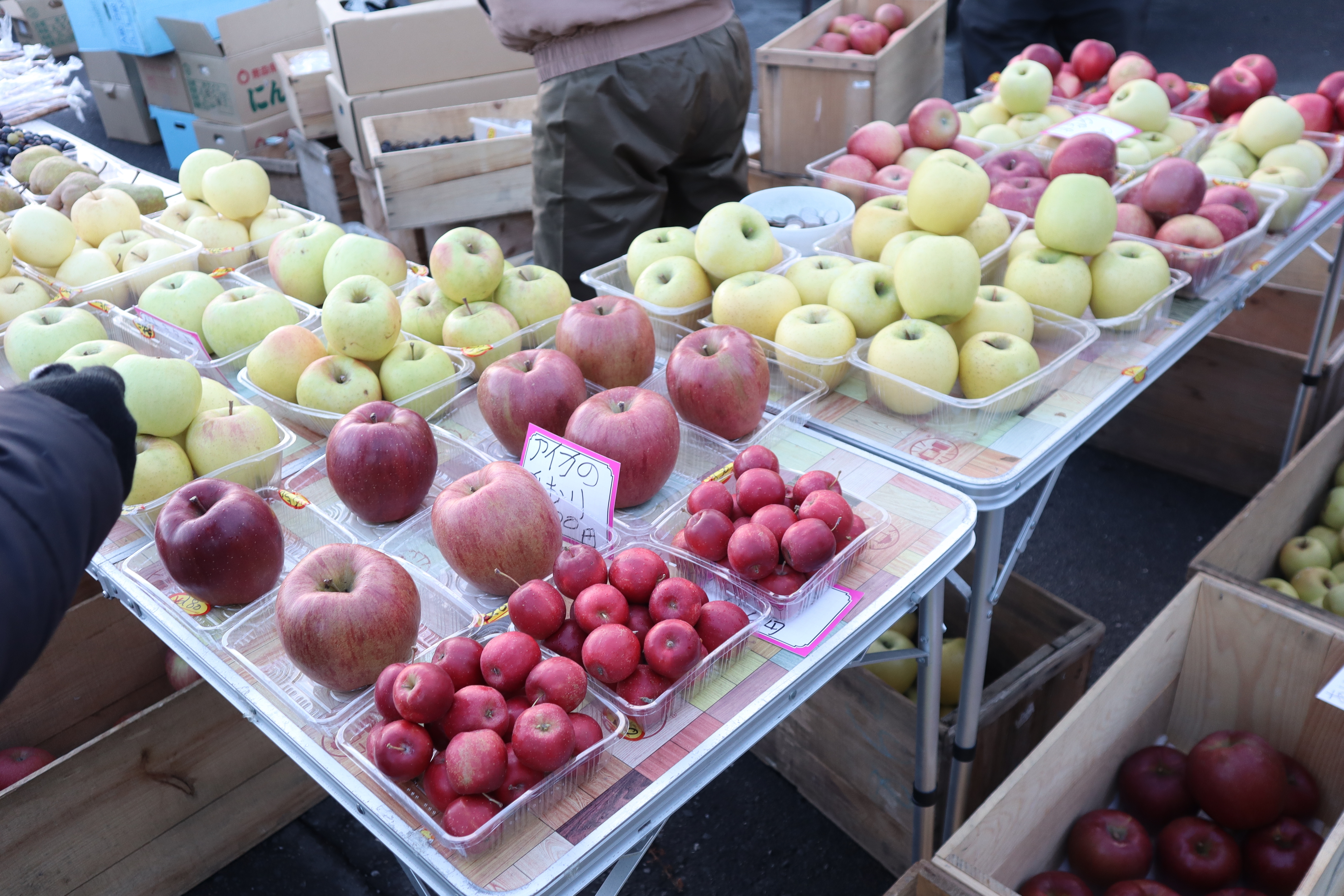 (日本青森旅遊)館鼻岸壁早市，日本最大且最熱鬧的星期天朝市，