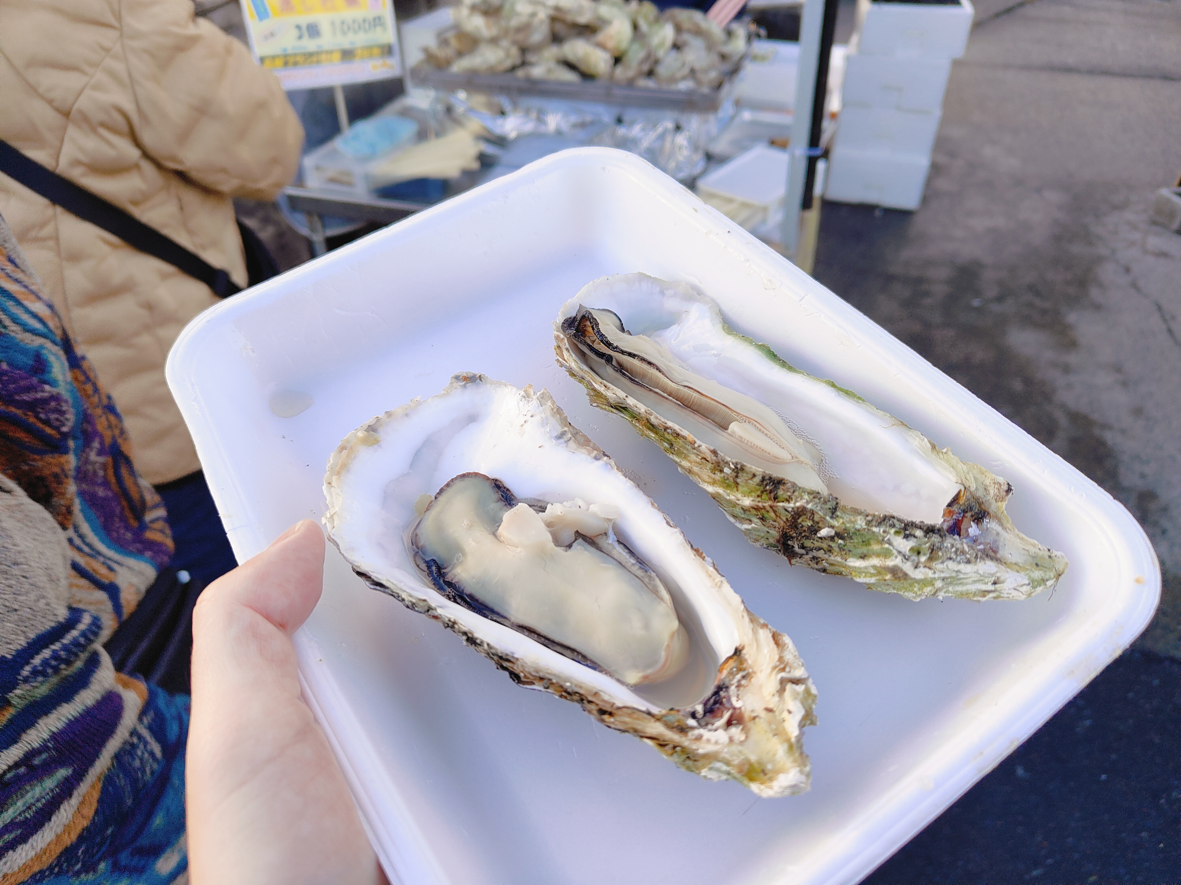 (日本青森旅遊)館鼻岸壁早市，日本最大且最熱鬧的星期天朝市，